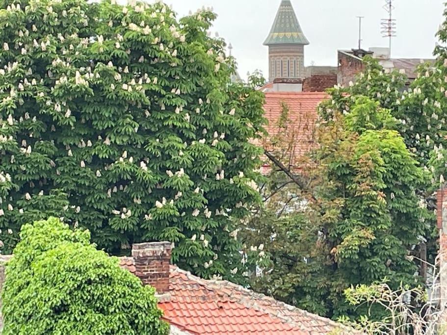 Central, Big Terrace, Near River Temeşvar Dış mekan fotoğraf